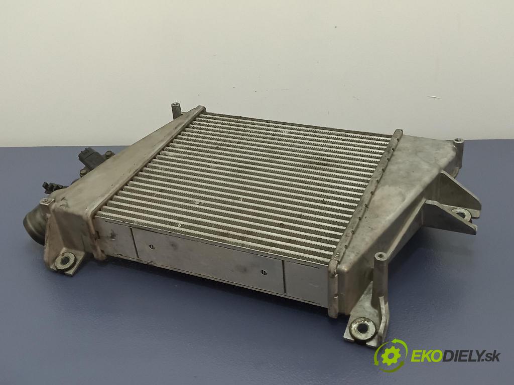 Nissan X-trail 2005 Chladič Vzduch: 01
