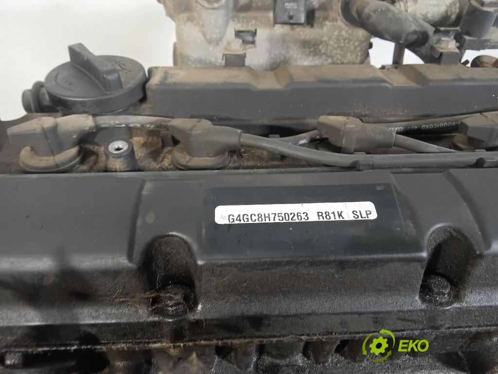 Kia Sportage 2009 motor Benzín G4GC