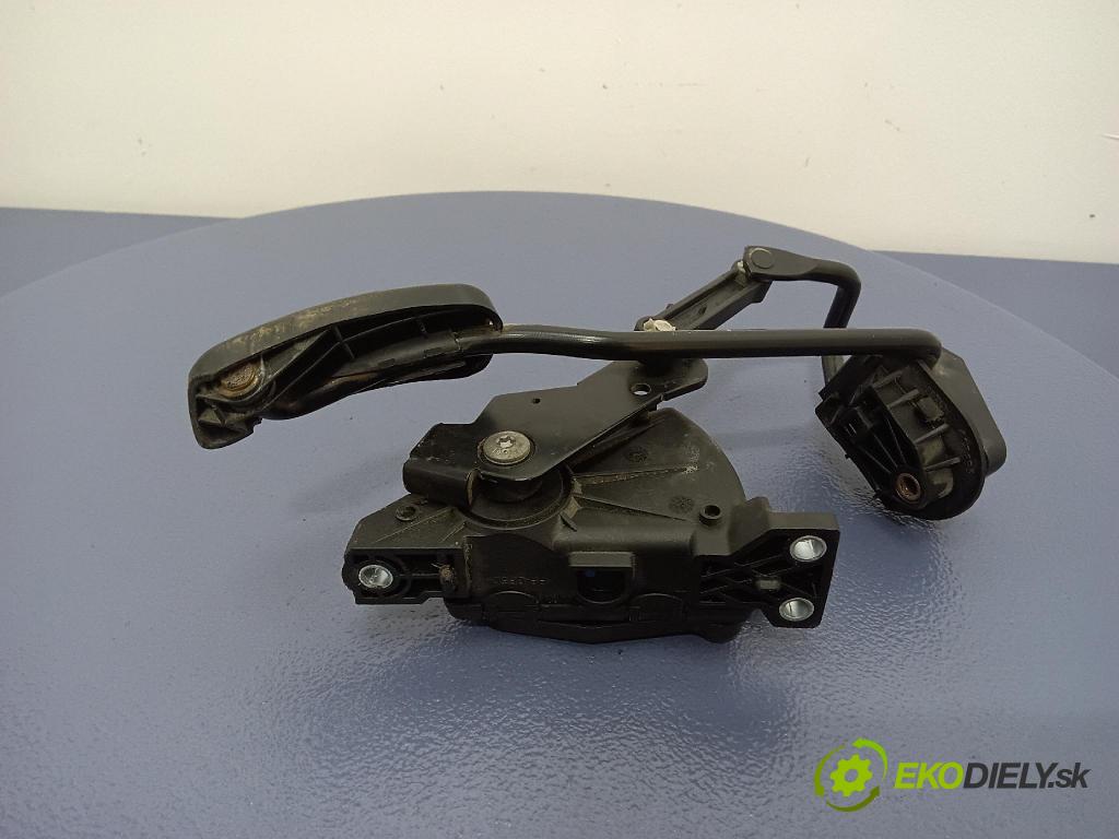 Renault Kangoo 2004 pedal Plyn: 8200089851