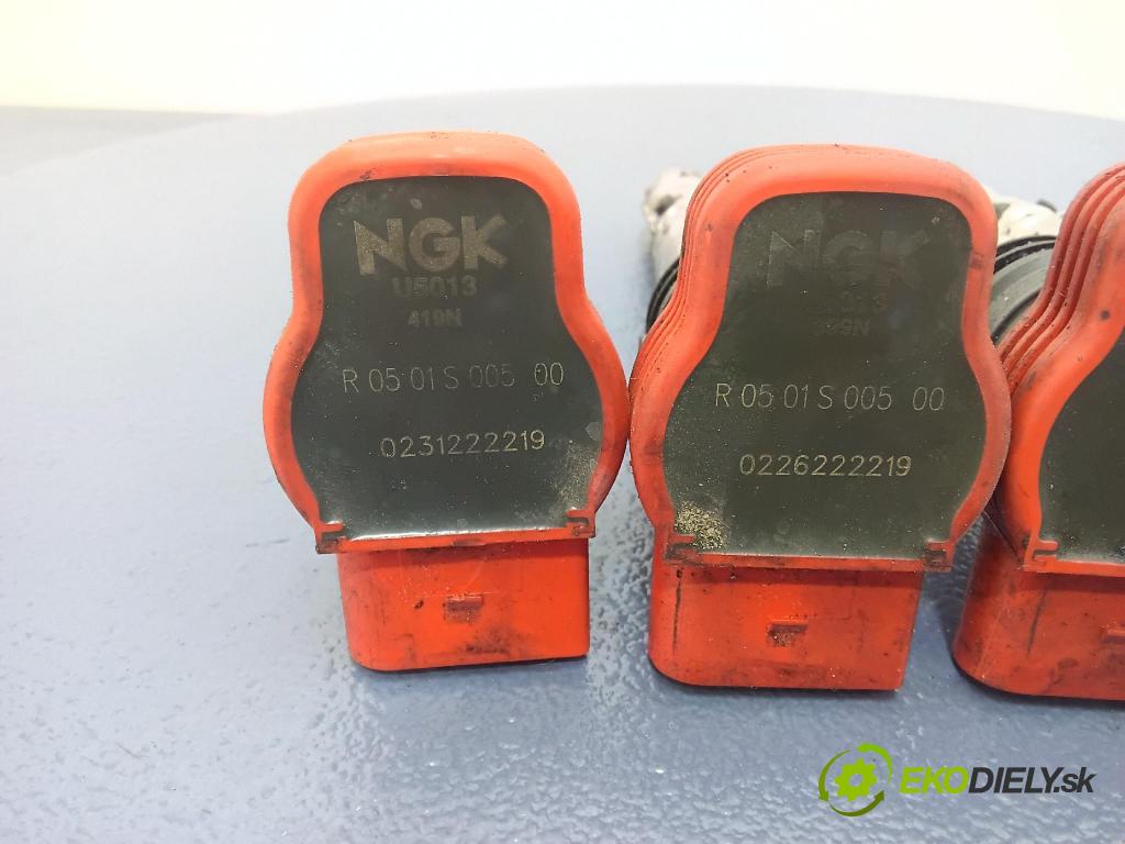 Volkswagen Passat 0 cievka Zapaľovanie: R0501S00500