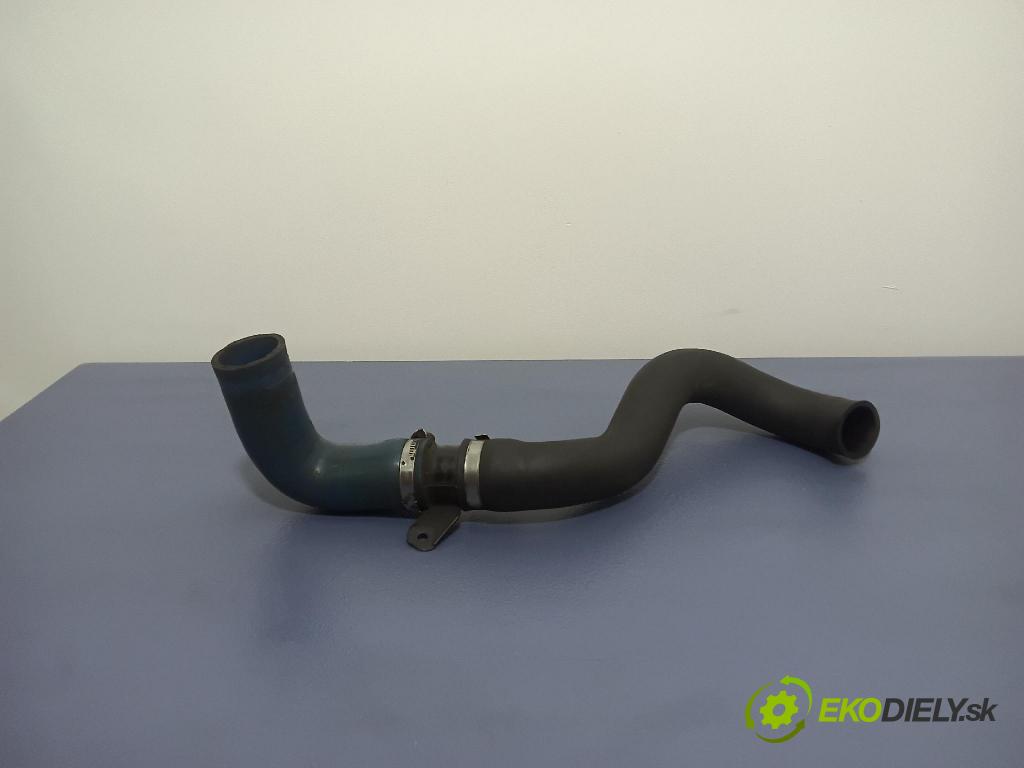 Renault Kangoo 2003 rúrka Vzduch: 01