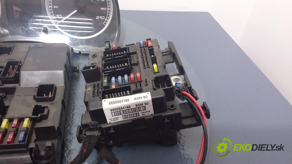 Peugeot 307 2005 riadiaca jednotka Motor: 0261206943