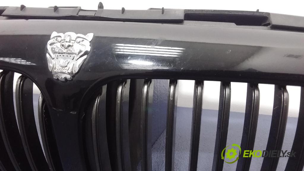 Jaguar X-type 2004 miežka / Gril: 1X43-5510