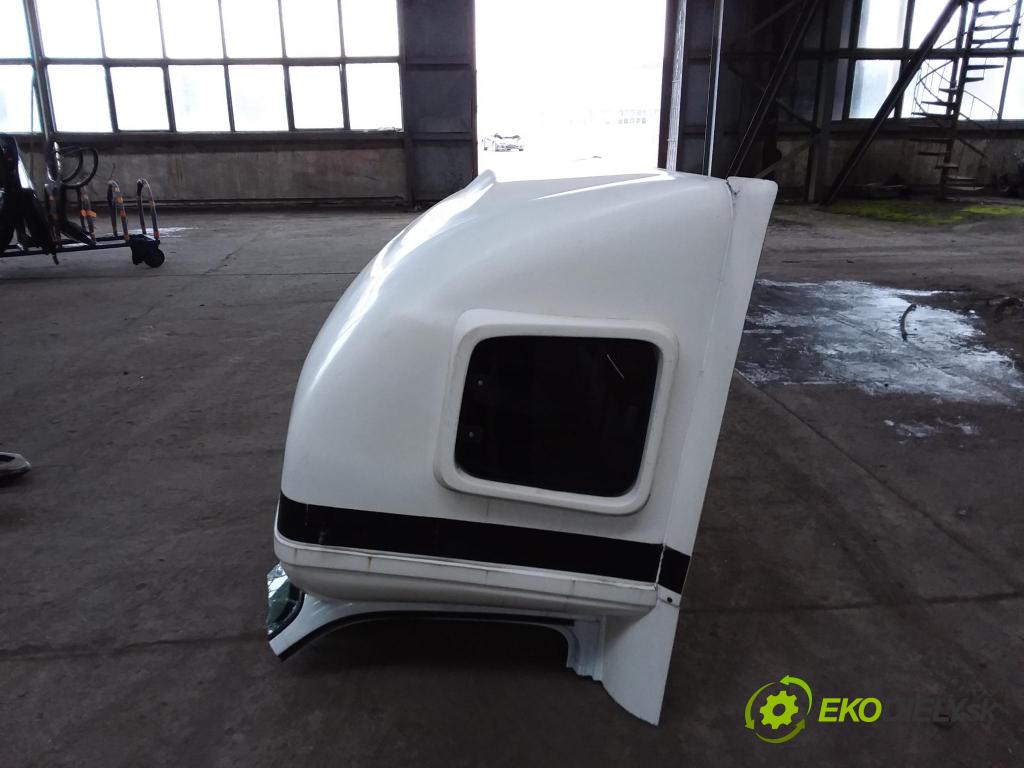 Renault Master 2009 Strecha: OE