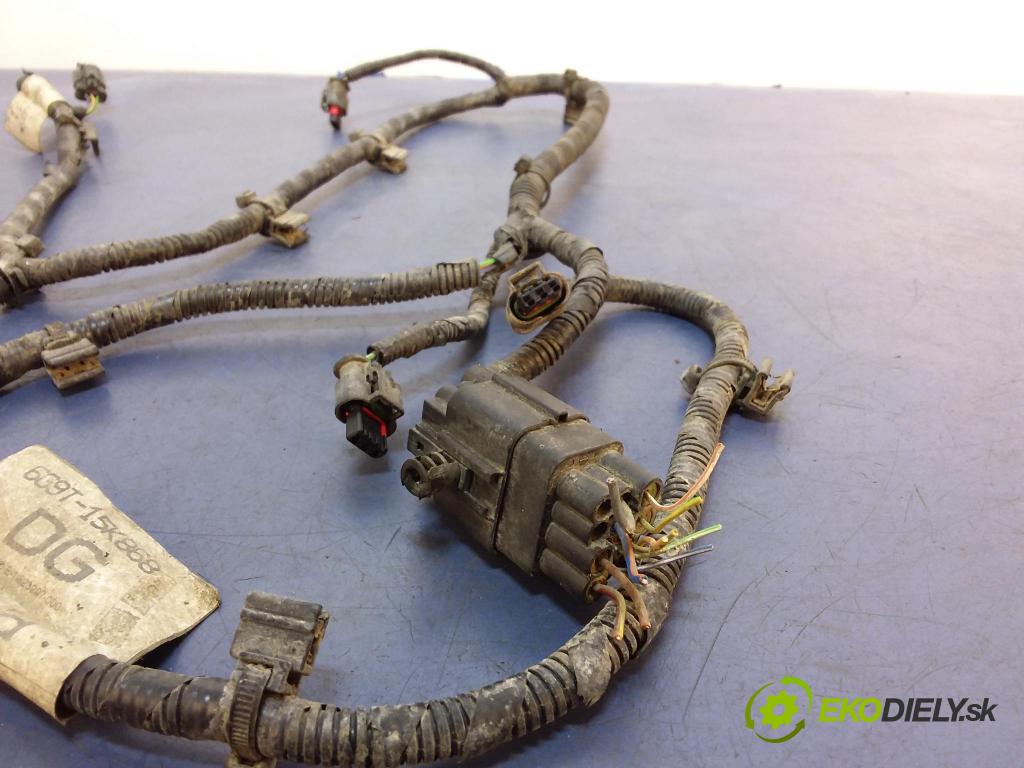 Ford S-max 2006 inštalácia Elektrický: 6G9T-15K868-DG