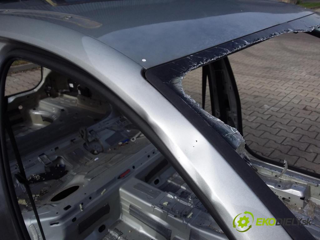 Vw Passat 2016 Strecha: 