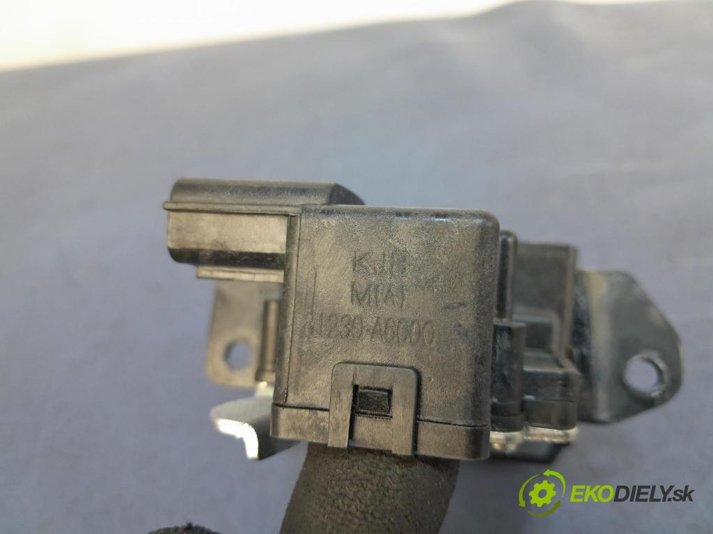 Hyundai I30 2015 zámek Klapky: kufr 81230-A6000