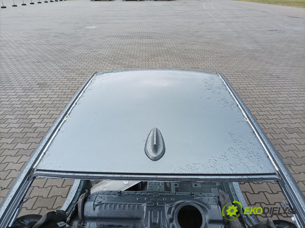 Bmw Seria 5 2020 Strecha: