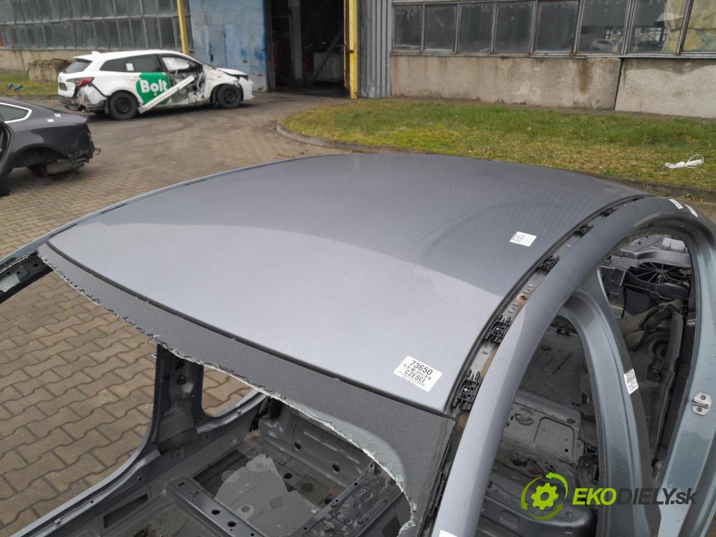 Bmw Seria 5 0 Strecha: 01