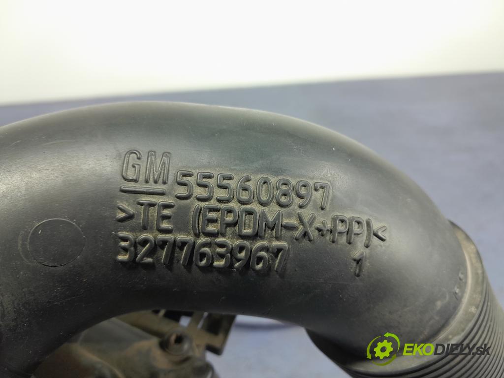 Opel Insignia 2010 obal Filtre: Vzduch: 55560883