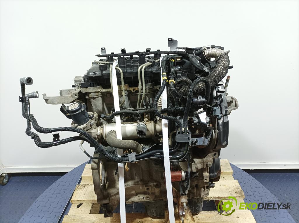 Ford Focus 2009 motor Diesel: HHDA
