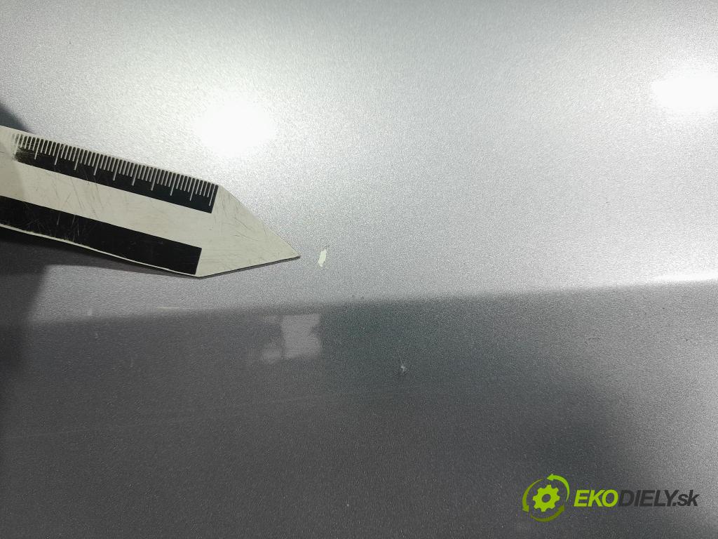 Seat Toledo 2006 dvere Predné pravé 01