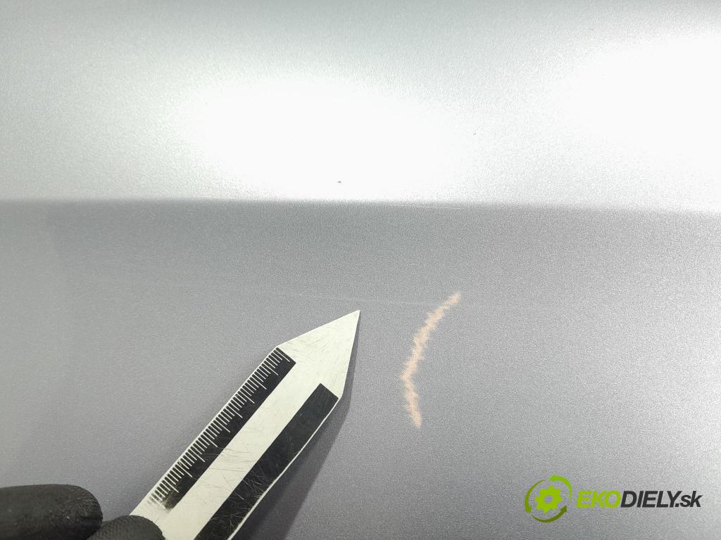 Seat Toledo 2006 dvere Predné pravé 01