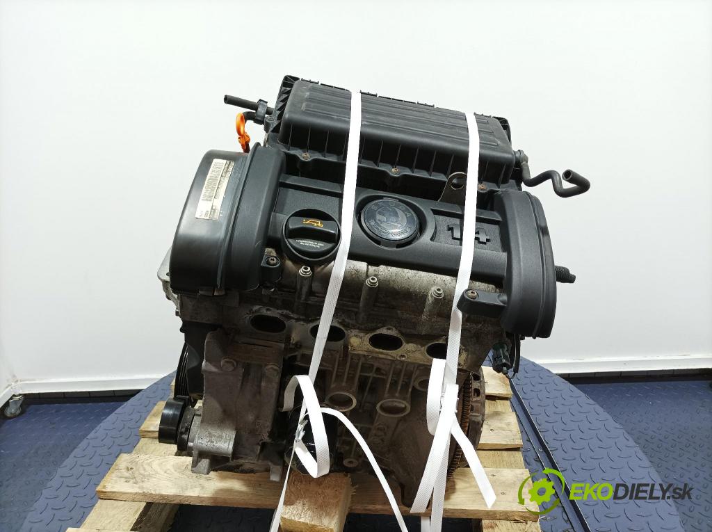 Skoda Roomster 2007 motor Benzín: BXW