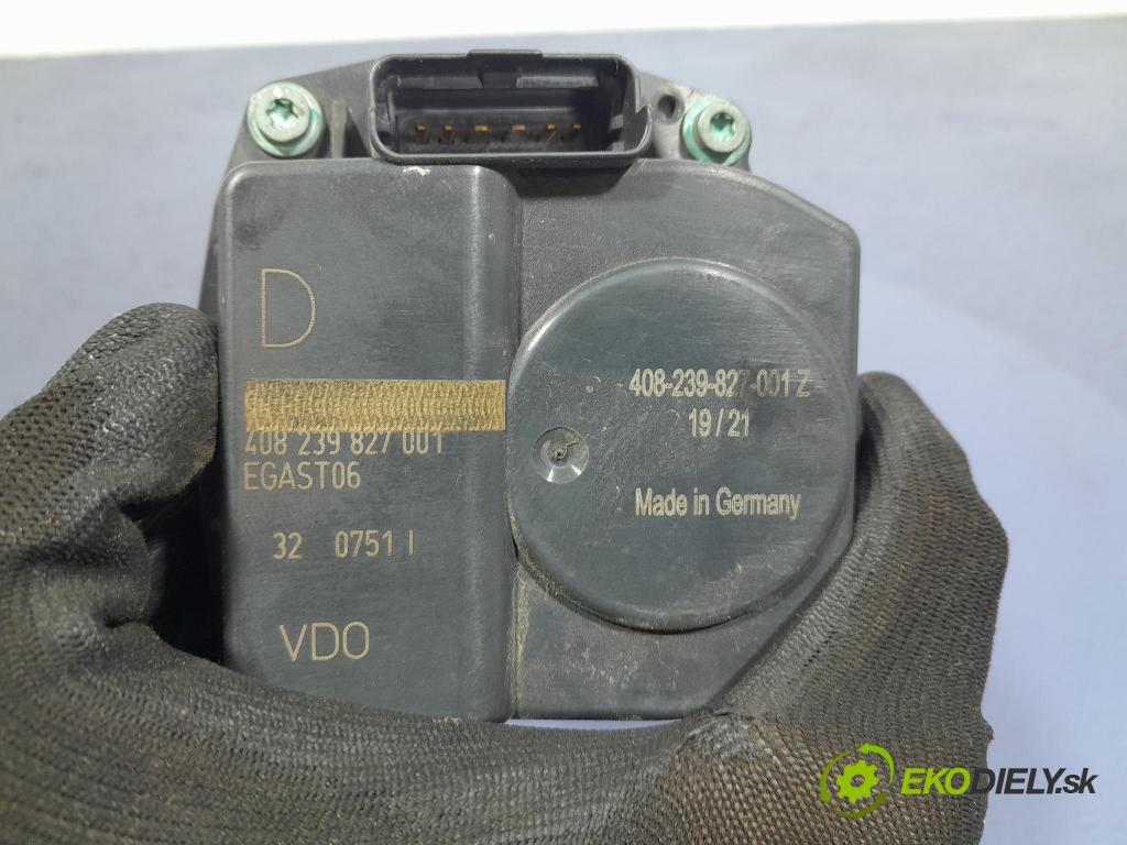 Citroen C4 2005 klapka 408239827001