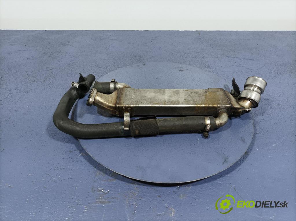 Mercedes ML-Klasa 2001 Chladič EGR A6121420077