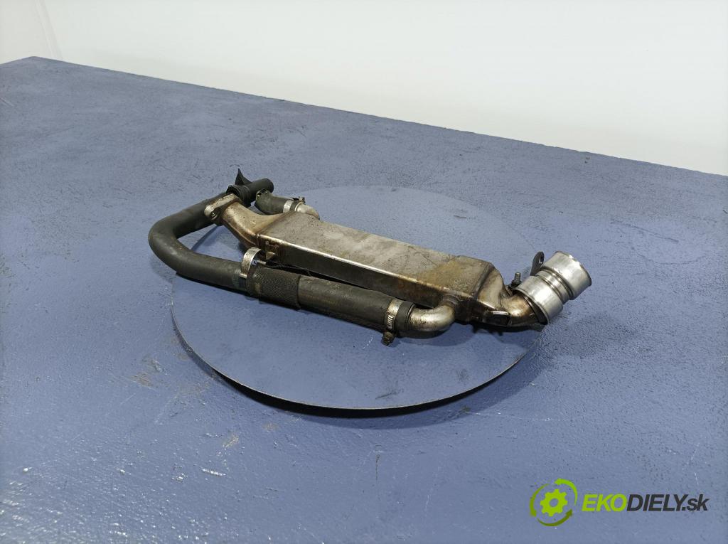 Mercedes ML-Klasa 2001 Chladič EGR A6121420077