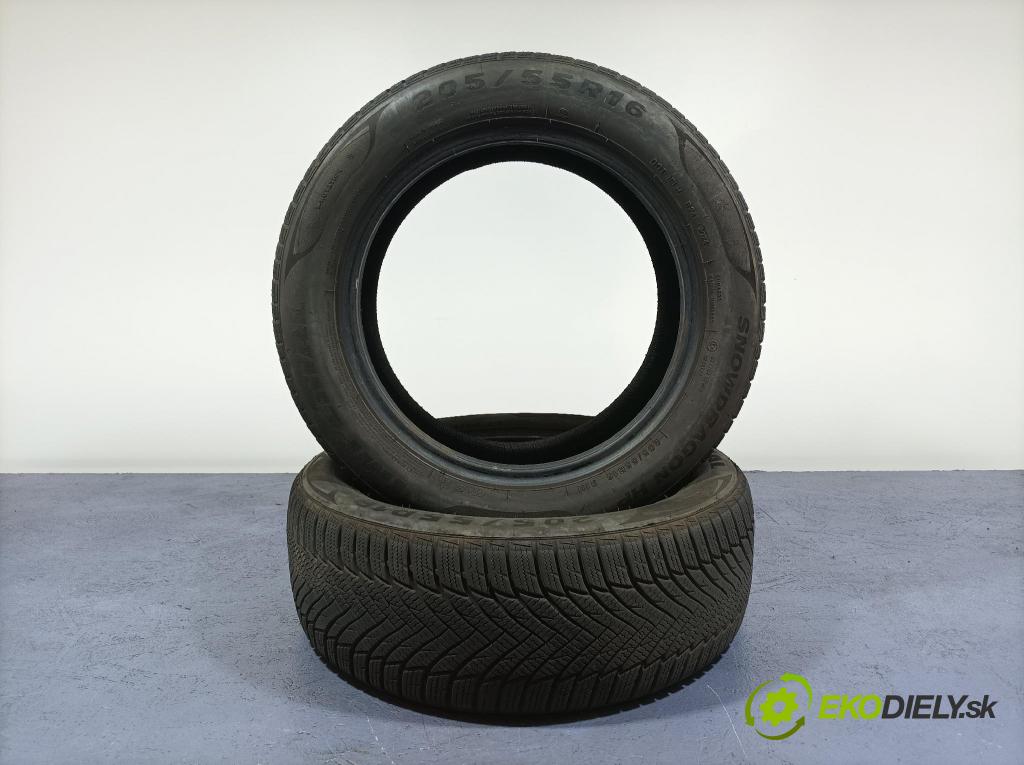 Rover 75 2004 pneumatiky: Zima 5420068624911