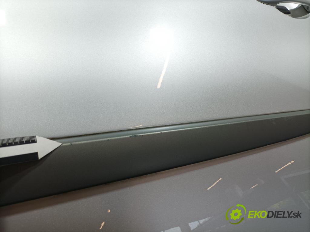 Renault Megane scenic 2006 dveře Zad: Vlevo, odjet: