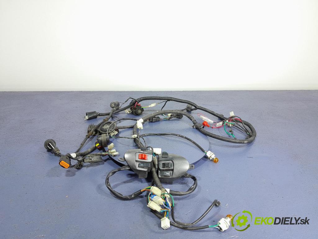 Longjia Estate 2018 instalace Elektrický: