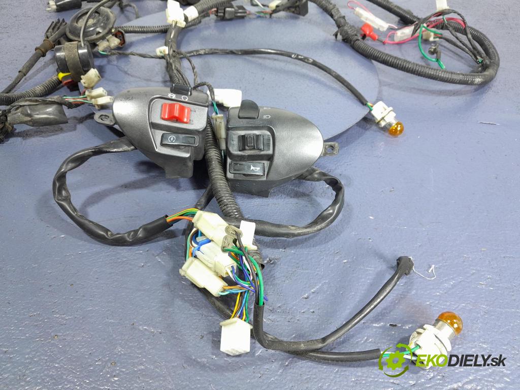 Longjia Estate 2018 instalace Elektrický: