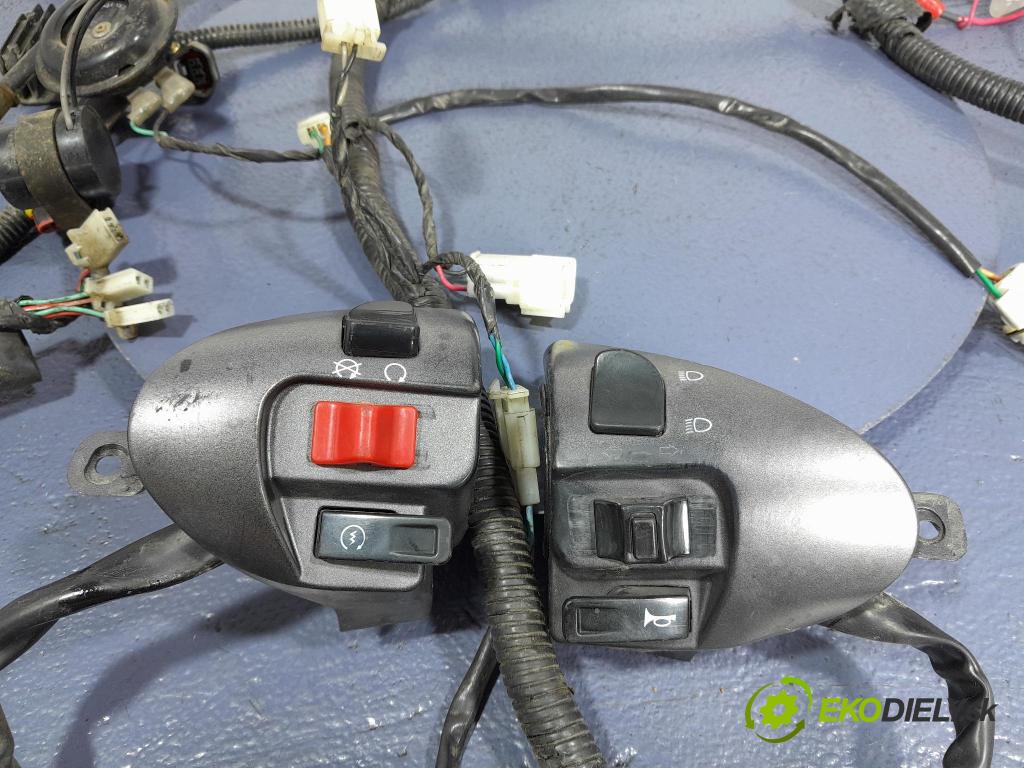 Longjia Estate 2018 instalace Elektrický: