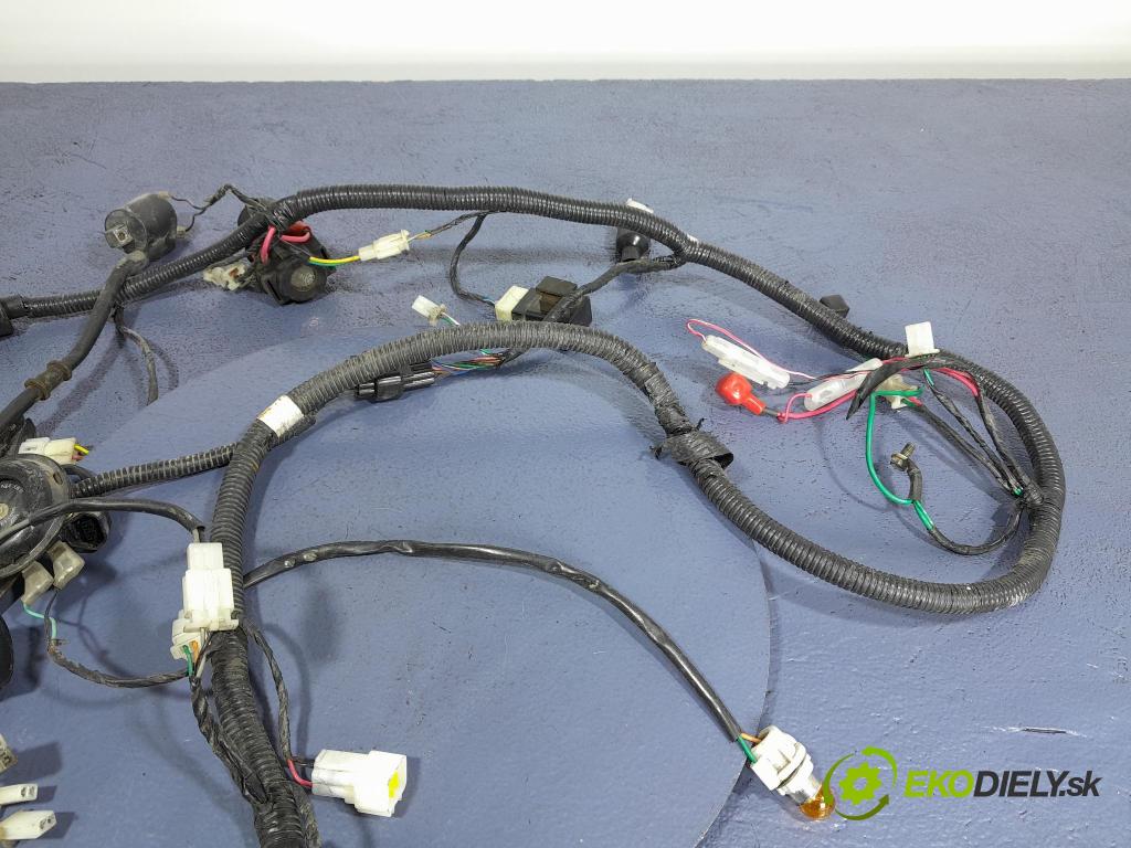 Longjia Estate 2018 instalace Elektrický:
