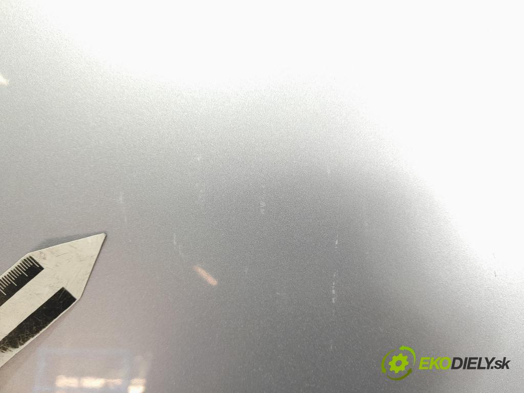 Skoda Fabia 2011 dveře před prave
