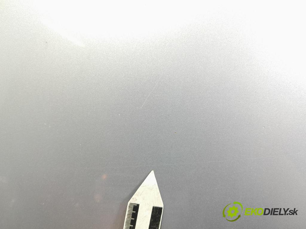 Skoda Fabia 2011 dveře před prave