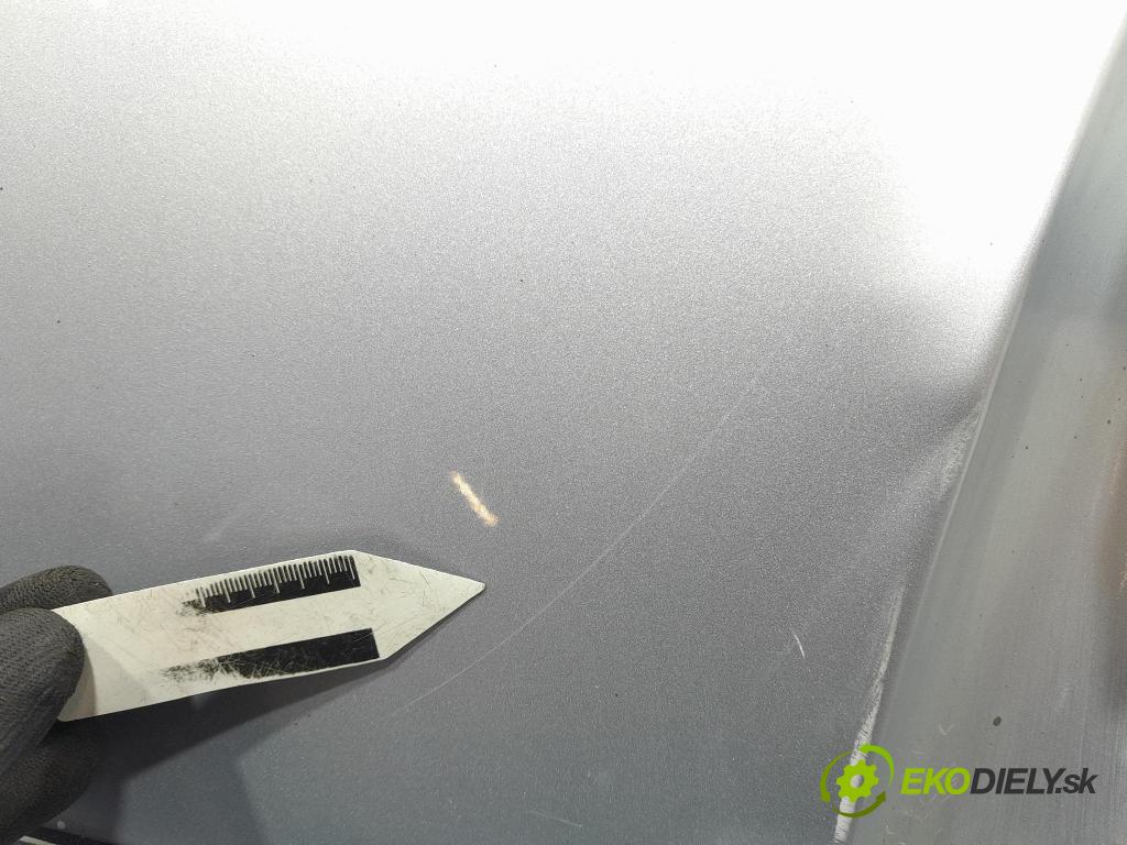 Vw New beetle 2006 dveře před prave