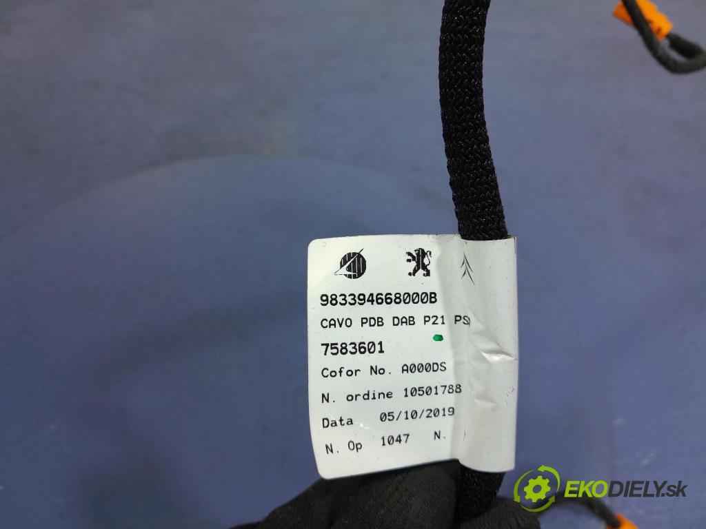 Peugeot 208 2019 instalace Elektrický: 9833946680