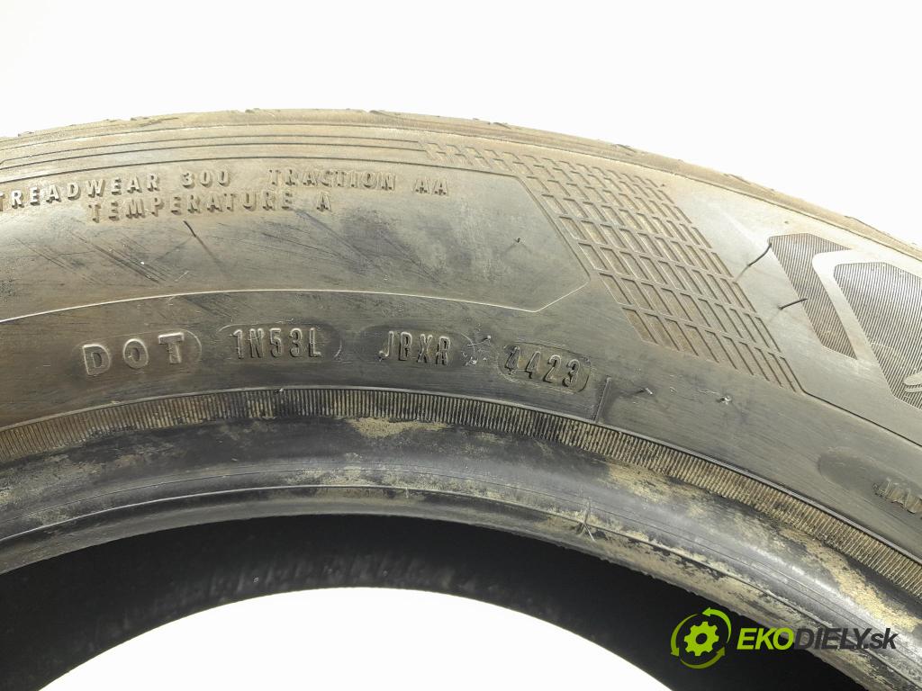 Nissan Qashqai 2023 pneumatiky: Leto: 4038526036001