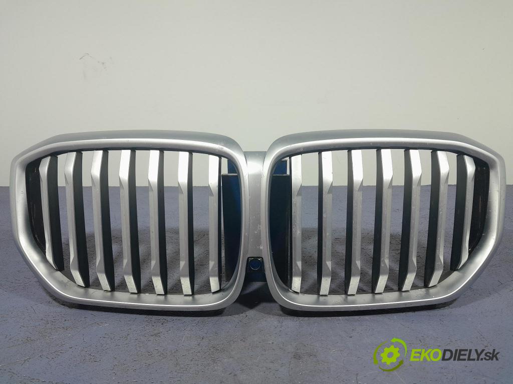 Bmw X5 2023 miežka / Gril: 5A67CC4