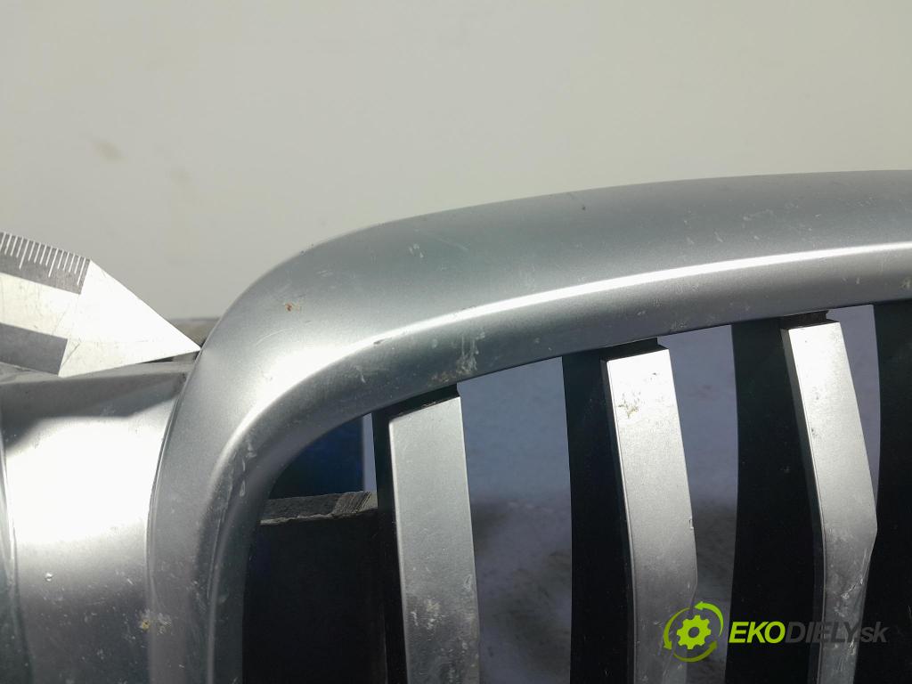 Bmw X5 2023 miežka / Gril: 5A67CC4