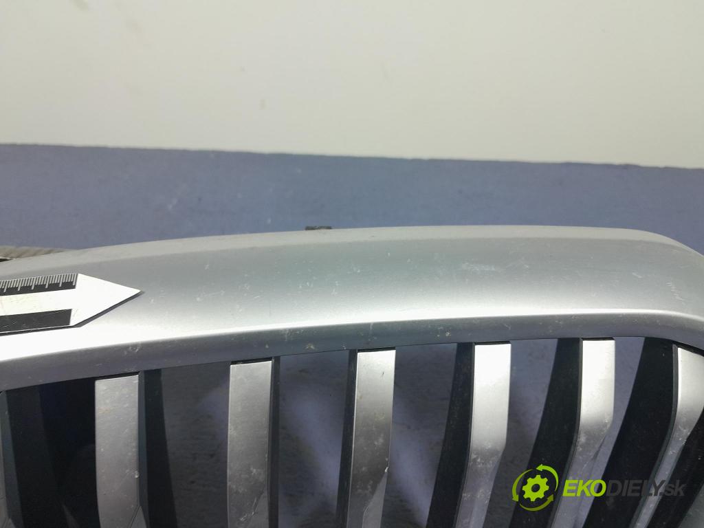 Bmw X5 2023 miežka / Gril: 5A67CC4