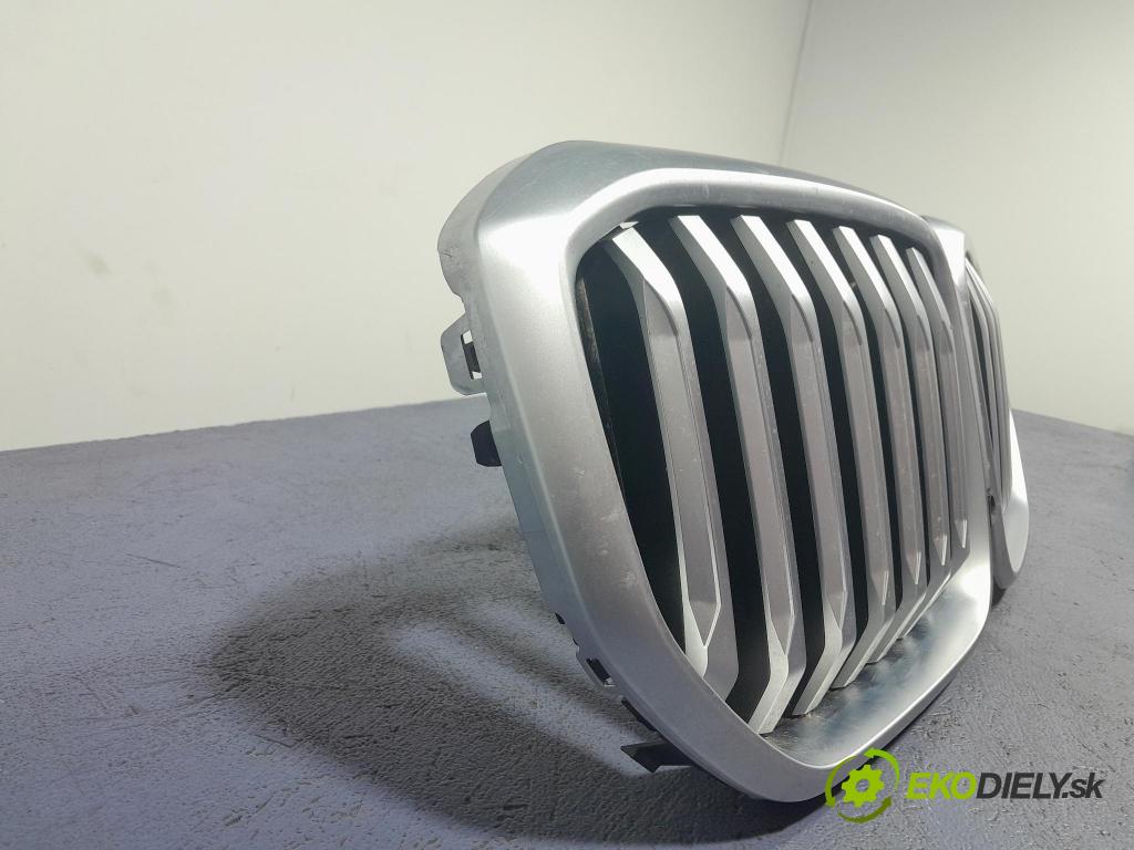 Bmw X5 2023 miežka / Gril: 5A67CC4