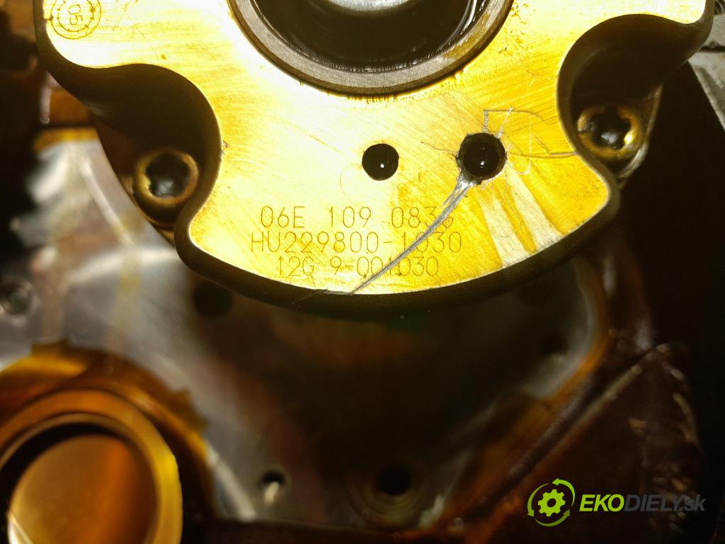 Audi A6 2006 Hlava: Motor: 06E103373D