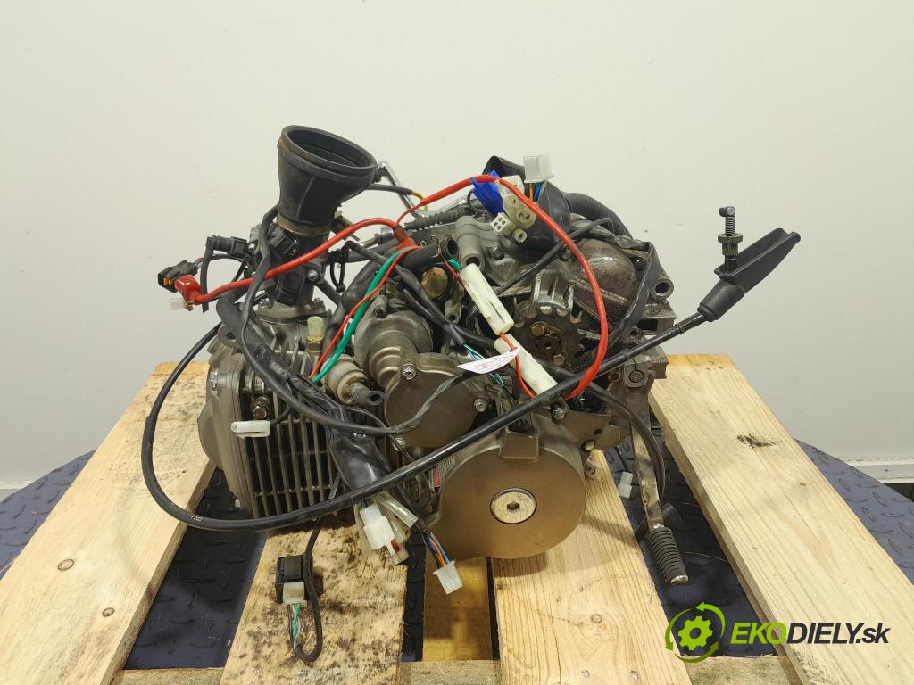 Zipp VZ-1 2017 motor Benzín: