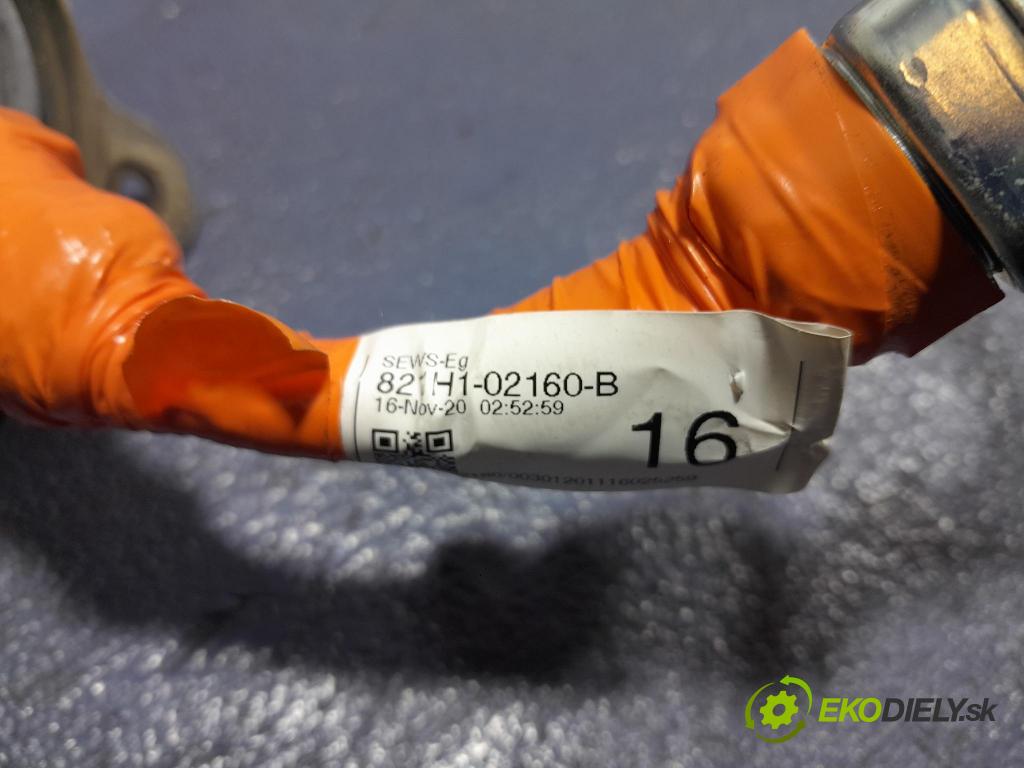 Suzuki Swace 2021 inštalácia Elektrický: 821H1-02160