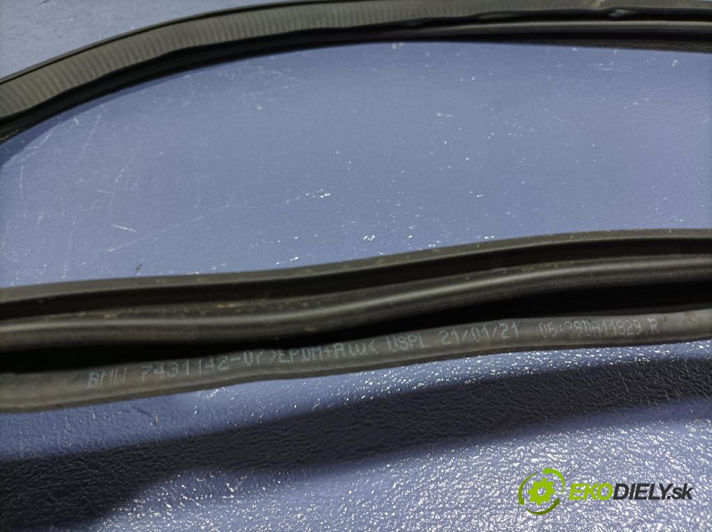 Bmw X7 2021 Těsnění: dveře 7431142