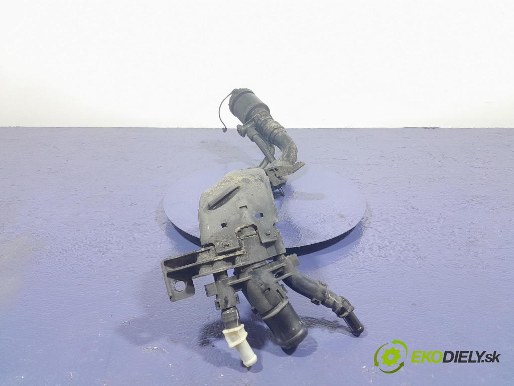 Kia Ceed 2020 Nalievacie hrdlo: paliva 