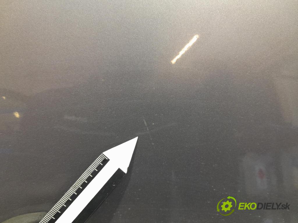 Renault Megane 2009 dvere Predné pravé