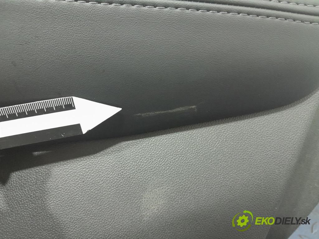 Renault Talisman 2017 Čalounictví: dvere Predné ľavá 809016901R