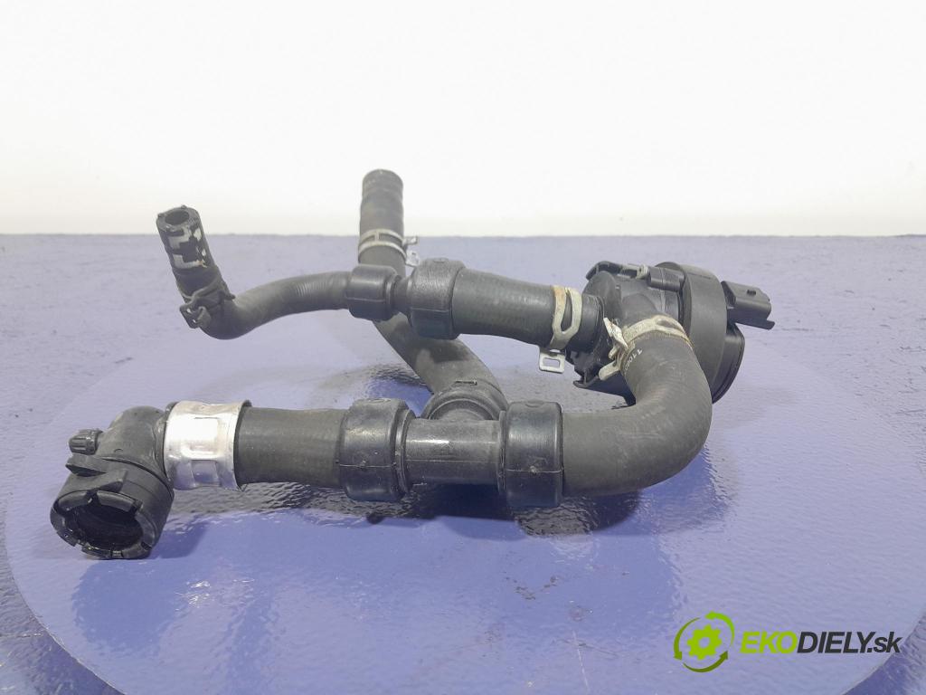 Renault Talisman 2017 čerpadlo Voda 925164GA0A