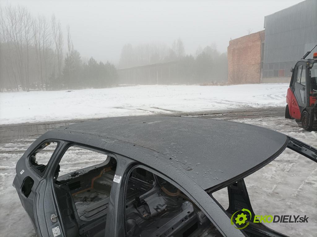 Skoda Octavia 0 strecha