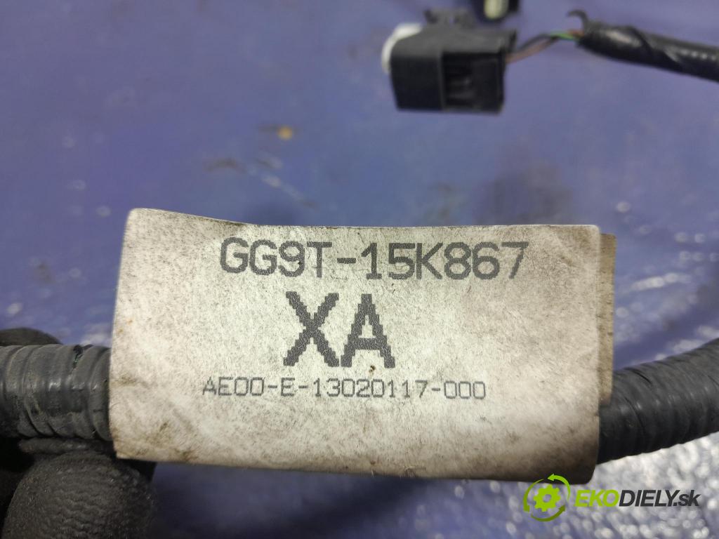 Ford Mondeo 2017 instalace Elektrický: GG9T-15K867-XA