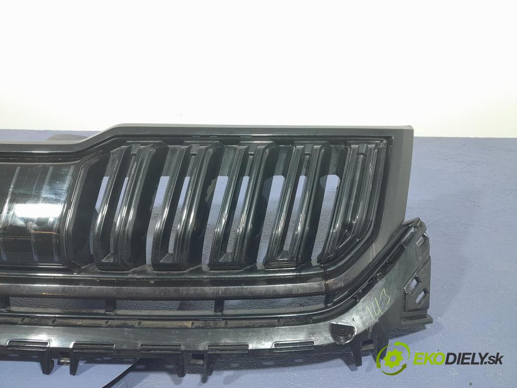 Skoda Kodiaq 2020 miežka / Gril: 565853663E