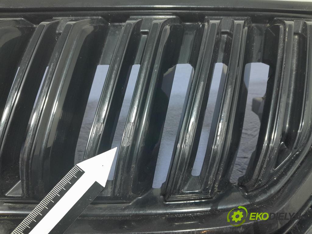 Skoda Kodiaq 2020 miežka / Gril: 565853663E