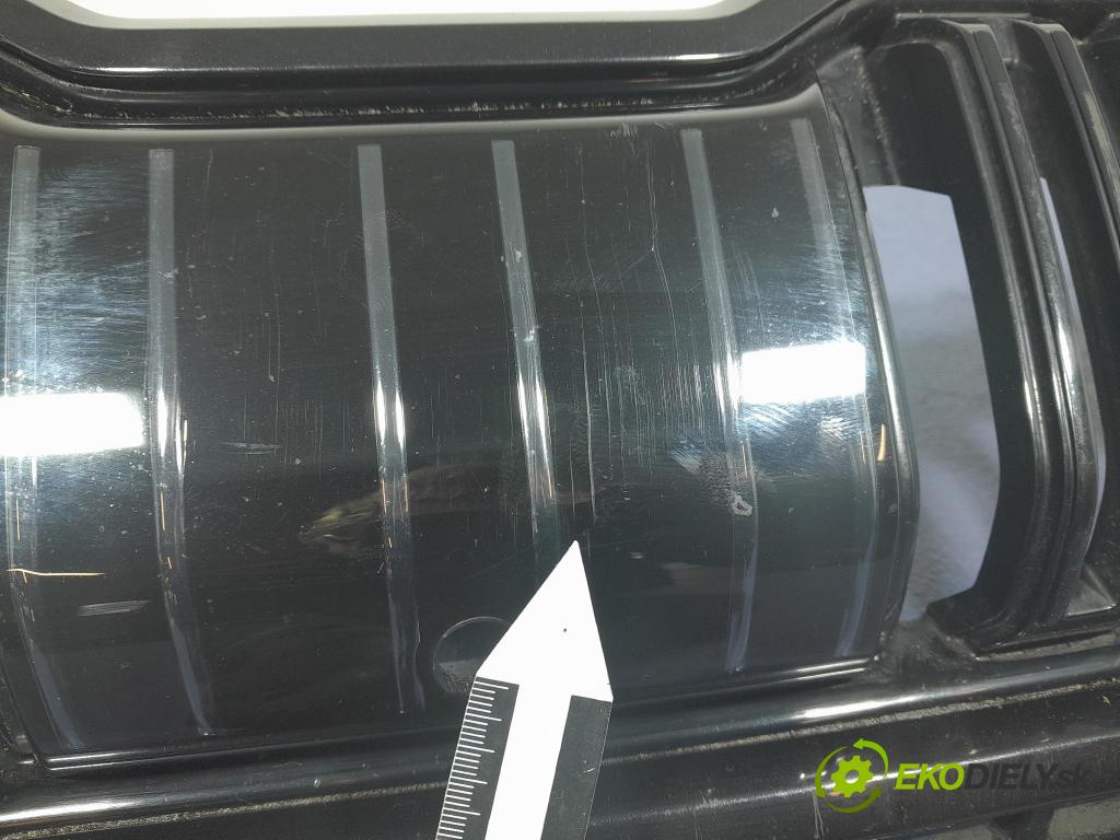 Skoda Kodiaq 2020 miežka / Gril: 565853663E