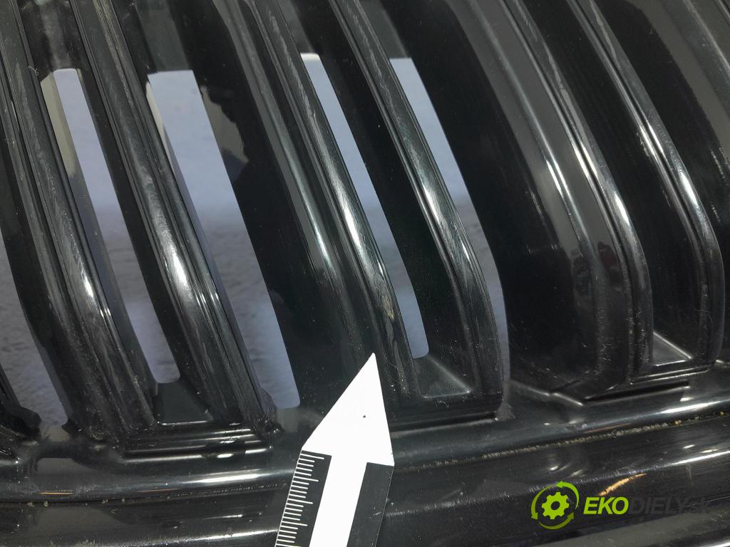 Skoda Kodiaq 2020 miežka / Gril: 565853663E